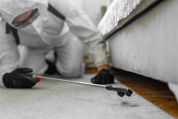 Professional Cockroach Control technician working in Buttonwillow, CA