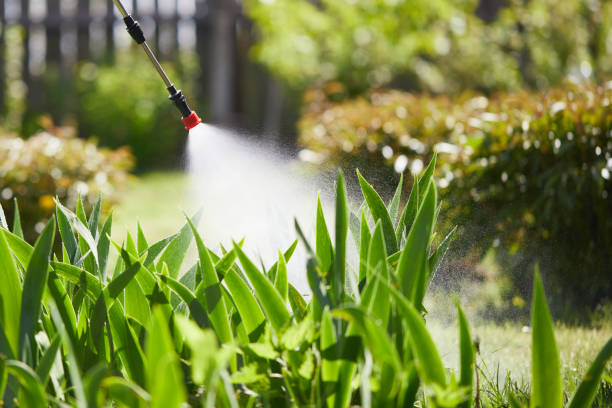 24/7 Emergency Cockroach Control experts in Buttonwillow, CA